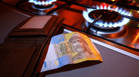 Запрещенные покупки — кому придется возвращать субсидию в 2026 - 290x160