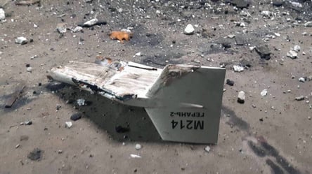 Дроновая атака на Киев: стало известно, сколько целей уничтожила ПВО - 285x160