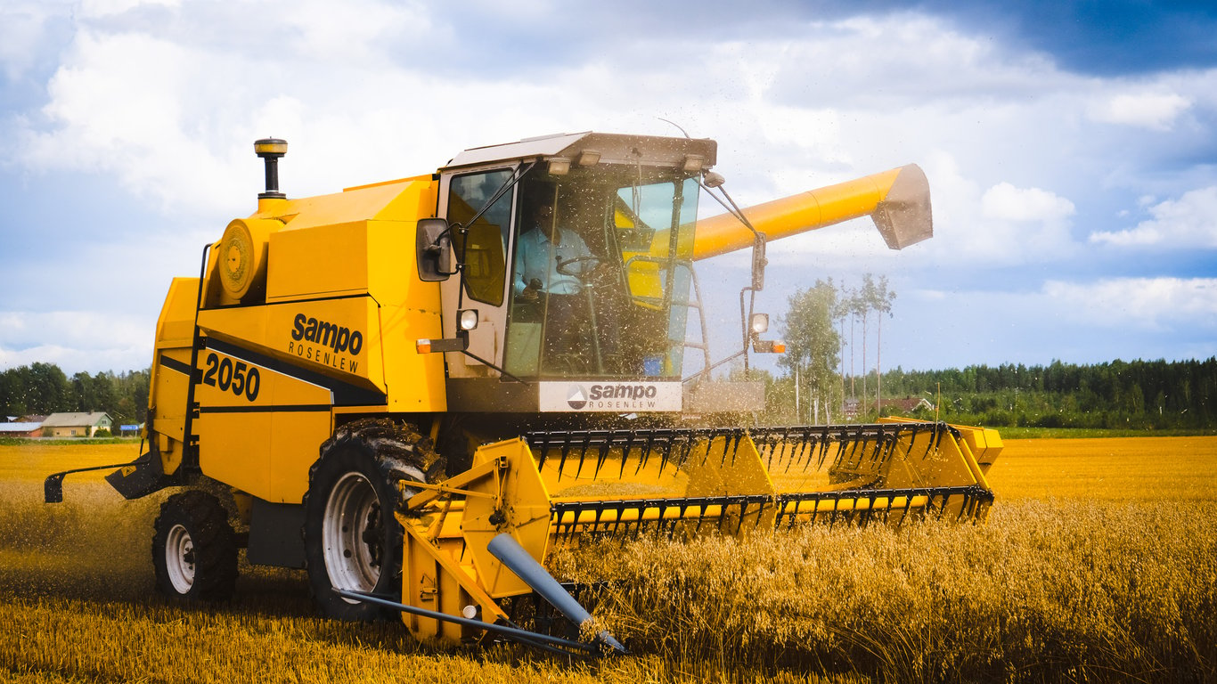 Ціни на зернові в Україні станом на 5 вересня 2023