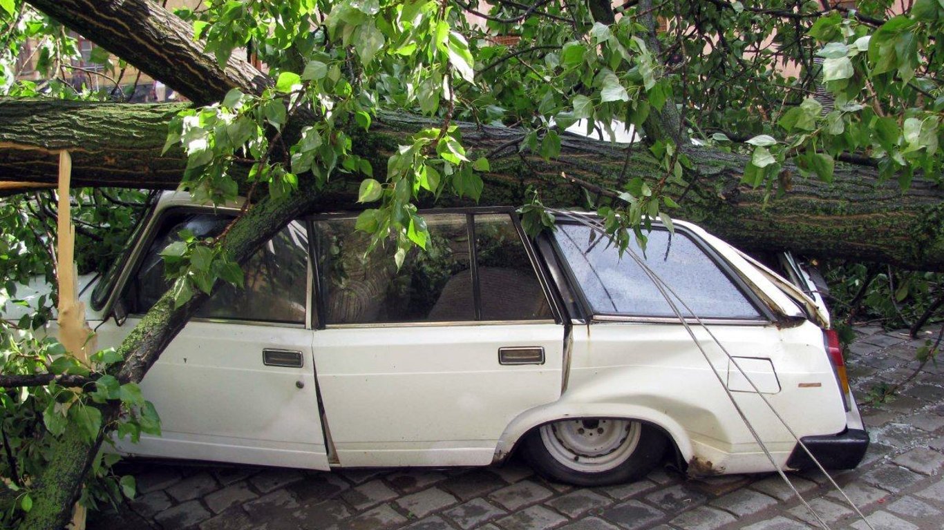 Дерево упало на припаркованный автомобиль: кто должен возместить ущерб