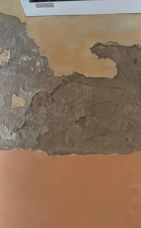 Александр и Екатерина Усыки