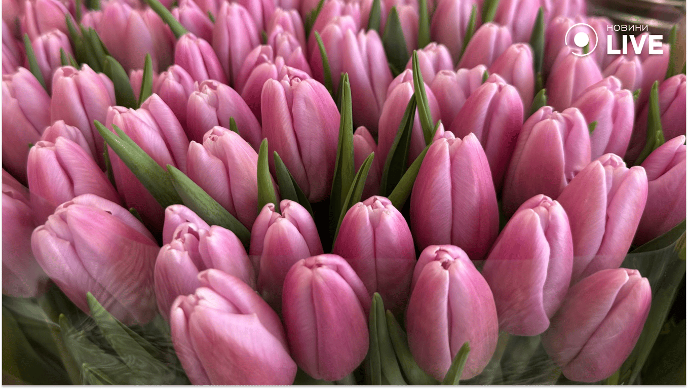 Скільки коштують квіти в Одесі — ціни у студіях та на базарі - фото 3