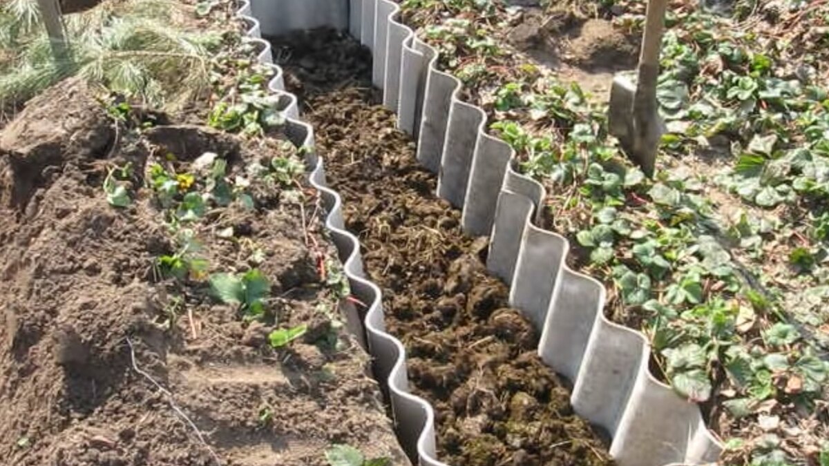 Траншея на огороде