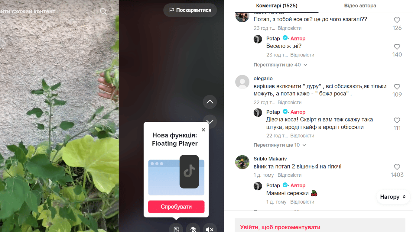 Комментарии под видео Потапа. Фото: tiktok.com/@potapreal