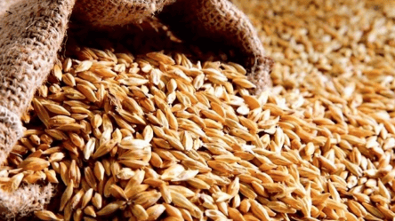 Словакия отменила ограничения на импорт зерна из Украины - 285x160