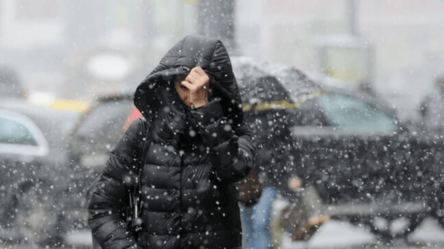 Будут дождь, туманы и снег — прогноз погоды на сегодня - 290x166