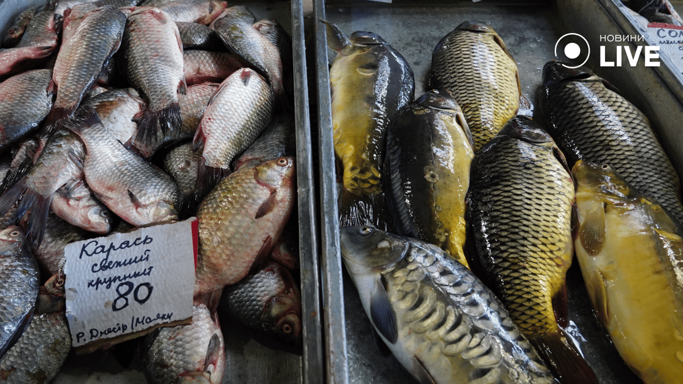 Караси и карпы на прилавке. Фото: Новини.LIVE/ Юлия Браславская