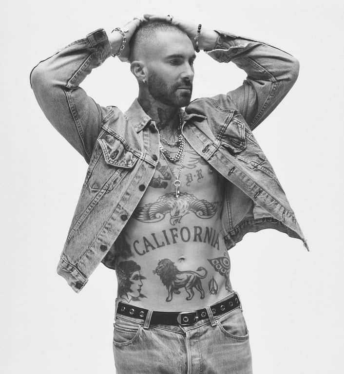 Співак Адам Левін. Фото: JacquieAiche.com.