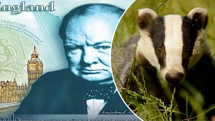 У Британії взялися за дизайн банкнот — що хочуть зобразити - 285x160