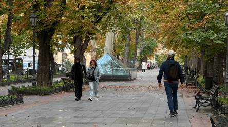 Выплаты ВПЛ в ноябре — сколько получат украинцы - 290x160