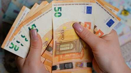 Германия выплатит украинцам до 20 000 евро: кто может оформить - 285x160