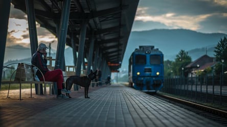 Як правильно подорожувати разом з тваринами у поїзді: інструкції від Укрзалізниці - 285x160