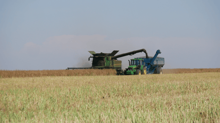 Цены на ячмень в Украине стремительно растут — сколько стоит зерно в мае - 285x160