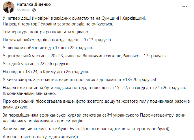 Посада Наталії Діденко. Фото: скріншот