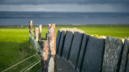 Забор между соседями — можно ли без согласия ставить ограждение - 285x160
