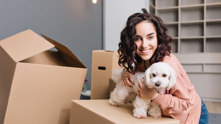 Без стресса — как переехать в новое жилье с домашними любимцами - 285x160
