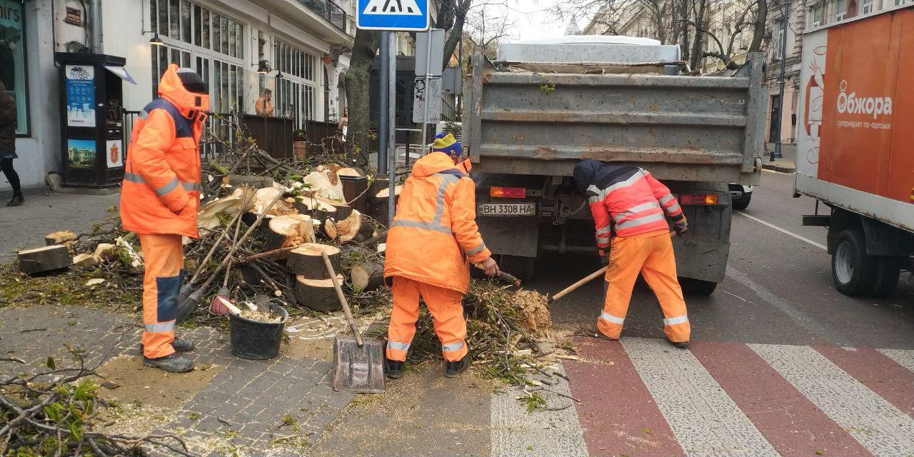 Повалені дерева та обірвані мережі — шторм наробив біди в Одесі - фото 2