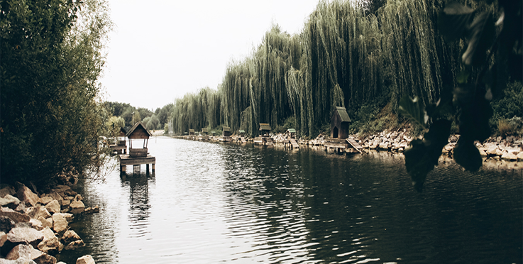 Неймовірні парки поблизу Києва — куди поїхати на вихідні - фото 1