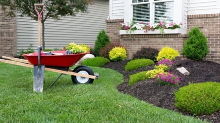 Приусадебный участок — что запрещено делать владельцам - 285x160