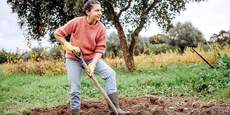 Що посадити у жовтні