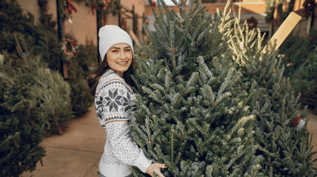 Зовсім не екологічна — яку ялинку краще не ставити на Новий рік - 285x160