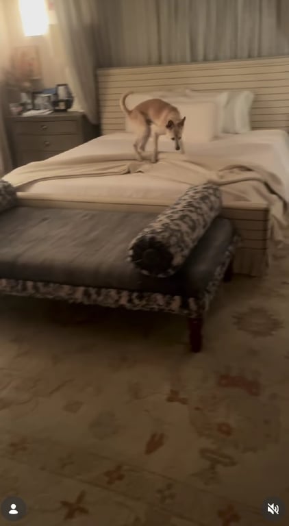 Спальня Дрю Беррімор — яка деталь змінила атмосферу простору (фото) - фото 1