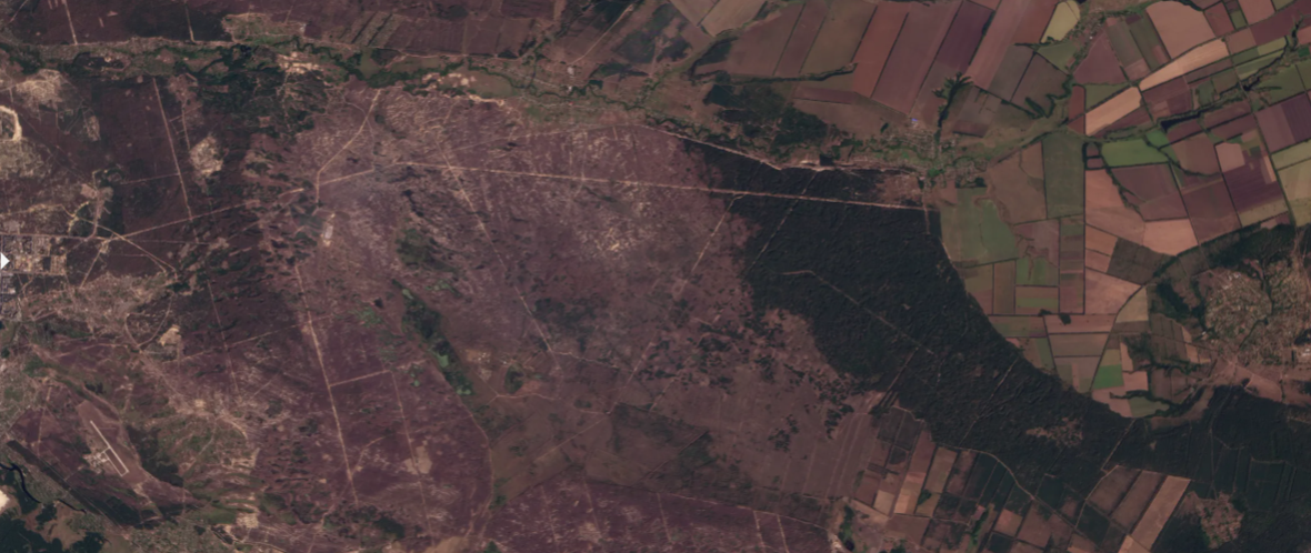 Территория лесов ГП "Северодонецкое лесоохотничье хозяйство" и ГП "Новоайдарское ЛГХ" в сентябре 2023 года. Фото: NGL.media