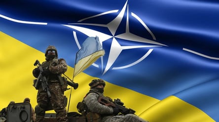 Чалый ответил, почему НАТО не готово предоставить Украине членство - 285x160