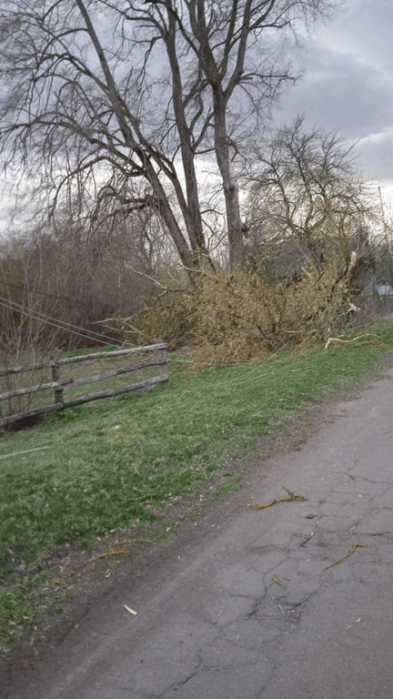 Негода на Київщині — в КОВА показали наслідки стихійного лиха - фото 2