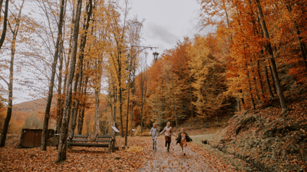 Туманы рисуют рассветы — почему стоит ехать в Карпаты в октябре - 285x160