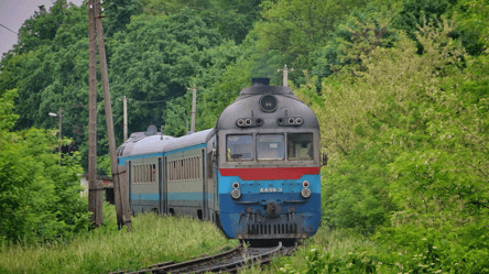 На Львівщині під час буревію дерево впало на електричку — багато поранених - 285x160