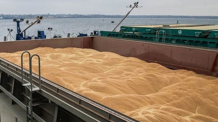 Интенсивность отгрузки зерна в портах Большой Одессы уменьшилась из-за блокирования судов в Босфоре - 285x160