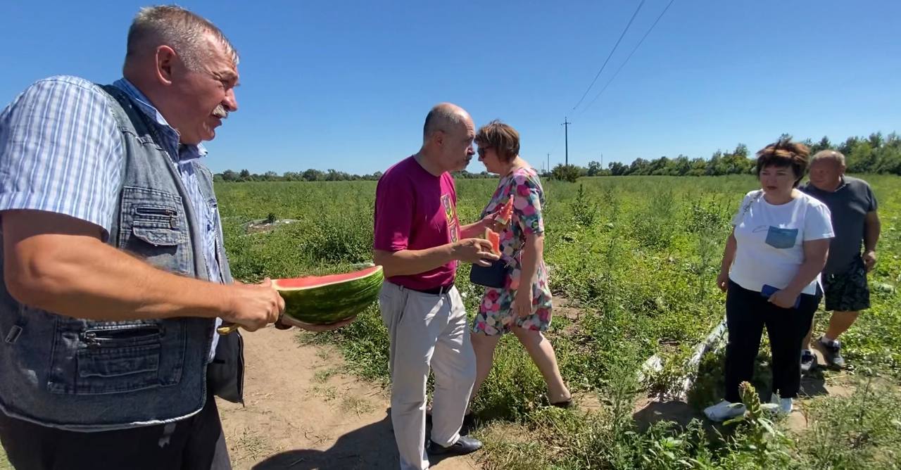 Були Херсонські, а ростуть на Львівщині — як український фермер кавуни вирощує - фото 3