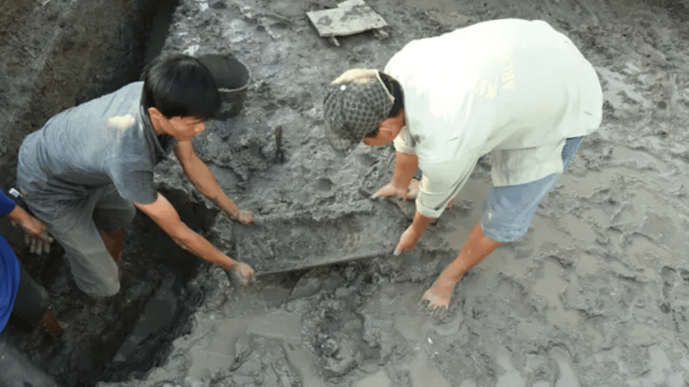 Во Вьетнаме обнаружили специи для приготовления карри – фото уникальной находки