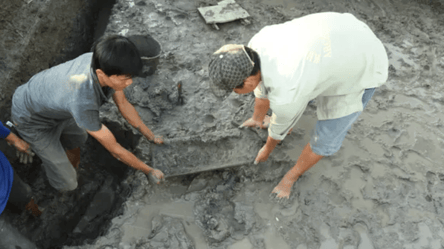 Пахне через 2 тисячі років: у В'єтнамі знайшли спеції для приготування карі - 285x160