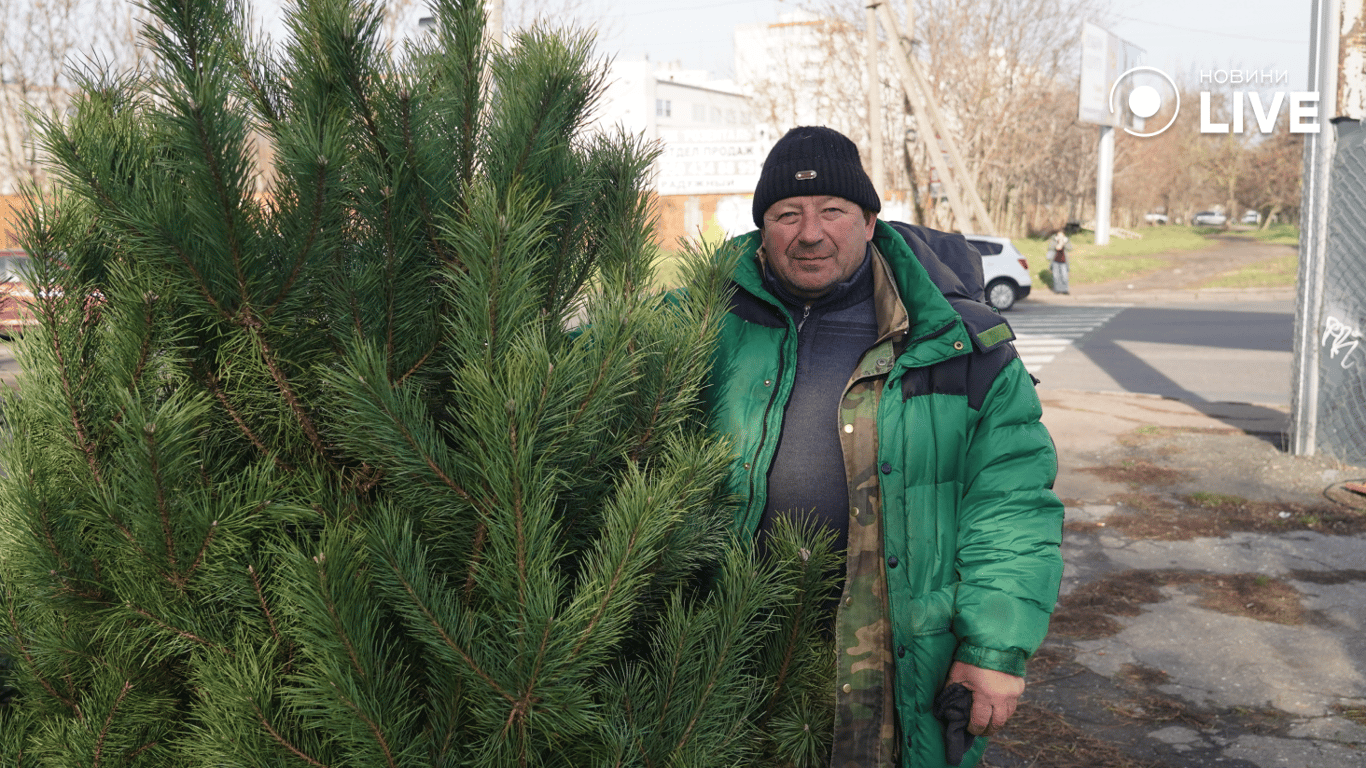 Продавец елок Иван. Фото: Новости.LIVE/ Юлия Браславская