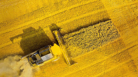 Ціни на зерно в Україні: скільки коштує пшениця у вересні - 285x160