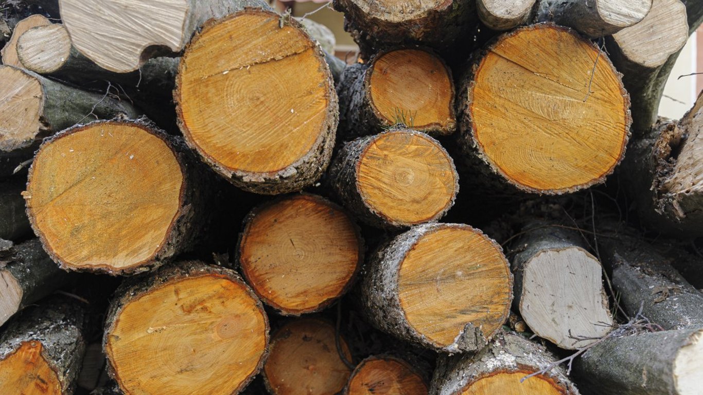 Компенсація на дрова у 2026 році: пенсіонери можуть отримати 8 000 гривень