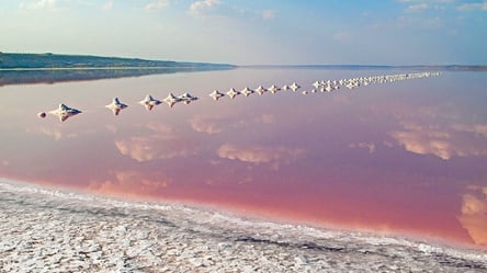 Повышение солености в Куяльницком лимане приведет к загипсовыванию водоема - 285x160