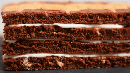 "Сметанник" по этому рецепту всегда самый лучший — вкусный десерт - 285x160