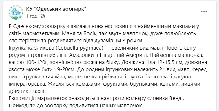 Мармозетки у зоопарку Одеси