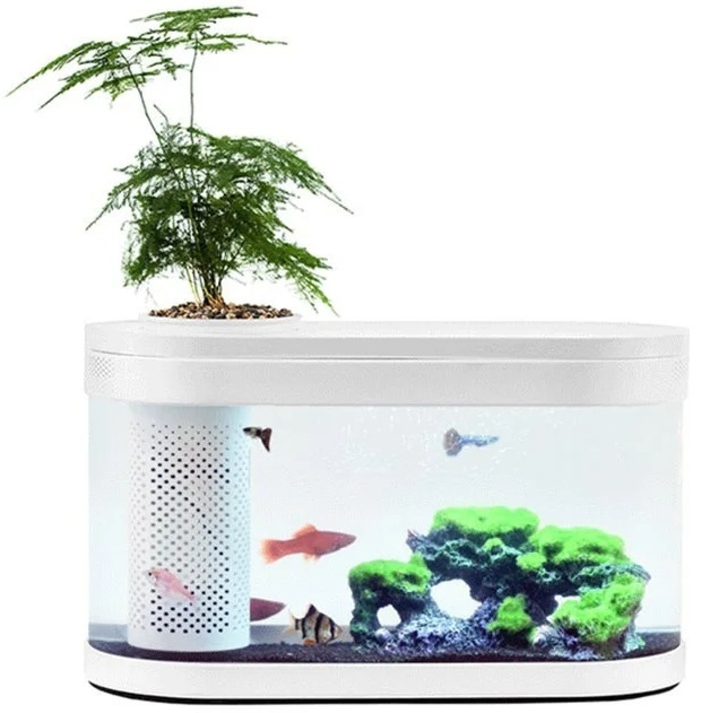 Мини-аквариум Xiaomi Eco Mini Fish Tank