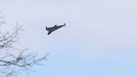 Росія атакувала дроном по зоопарку в Харкові: тварини поранені - 290x166