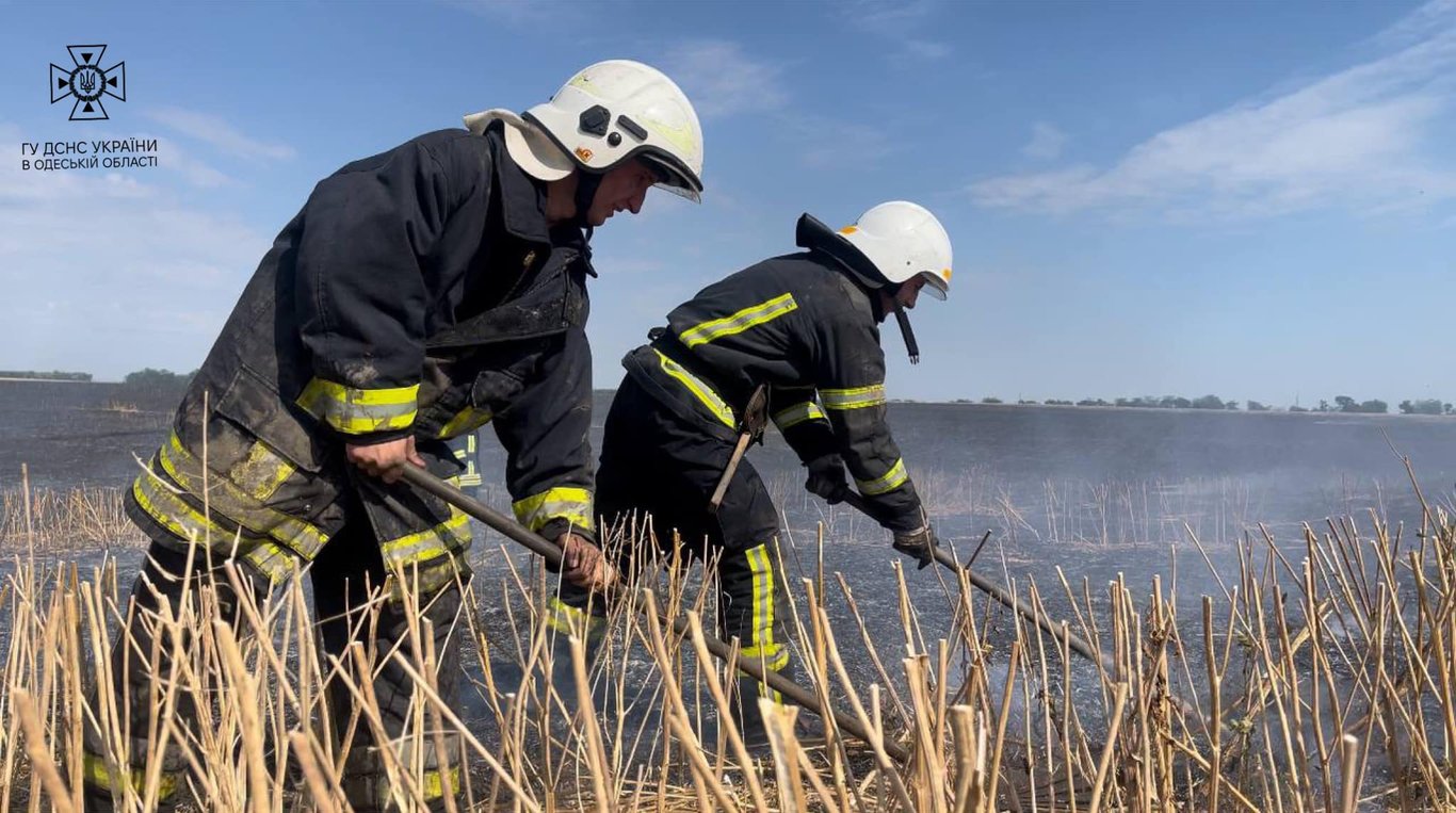 Рятувальники гасять пожежу. Фото: ДСНС в Одеській області