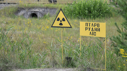 Не из-за радиации — почему у собак в Чернобыле синяя шерсть - 285x160