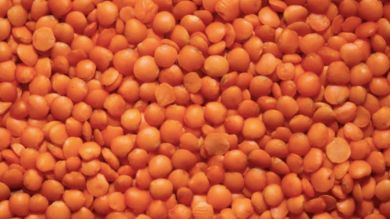 сколько нужно варить чечевицу