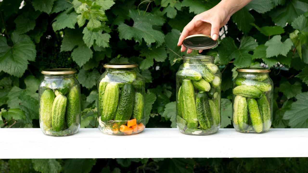 Банки с консервированными огурцами