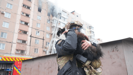 У Запоріжжі внаслідок атаки РФ значні руйнування — відео - 290x160