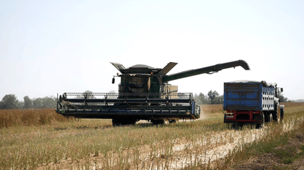 Цены на пшеницу достигли максимума — сколько стоит зерно в Украине - 285x160