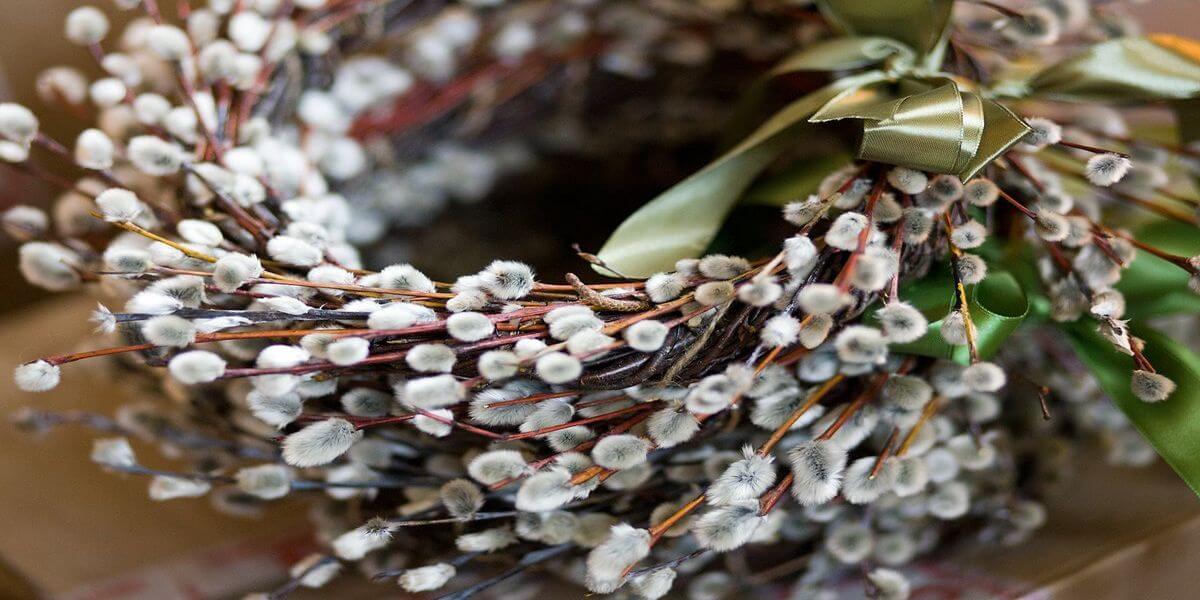 Венок из вербы